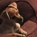 Stacy Beals - @stacybeals - Instagram