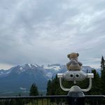 stacy bear - @the_adventures_of_stacy - Instagram