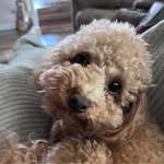 Stacy Eversole Beard - @stacy_beard - Instagram