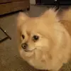 stacybear - @stacybear7 - TikTok