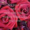 Deepthi_Nagarkar - @sstacy.bearden - TikTok