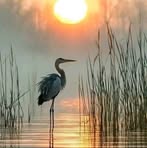 Stacy Beckwith - Facebook