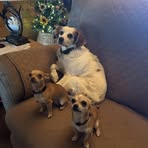 Stacy Bonner - Facebook
