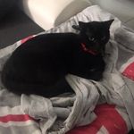 Stacy Benoit - @stacy.benoit.90 - Instagram