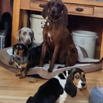 Stacy Bierma Billings - @stacyabillings - Instagram