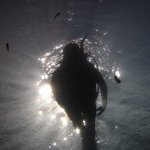 Stacy Bohn - @smbohn - Instagram