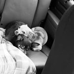 Stacy Bohn-Rathbun - @bohnstacy - Instagram