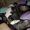 stacybolesta - @stacybolesta - TikTok