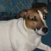 stacey bonner - @stacey.bonner - TikTok