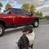Stacy Buchanan - @stacy.buchanan6 - TikTok