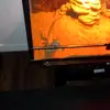 stacybuckner1 - @stacy0417 - TikTok