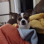 Stacy Bunch - @stacy1403 - Instagram