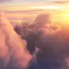 Stacey Burch - @stacey.burch - TikTok