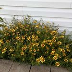 Stacy Burchett - @stacyburchett - Instagram