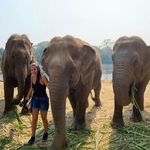Stacy Burger - @stacyburger - Instagram