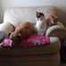 Stacy Burnham - Facebook
