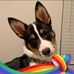 Stacy Dortch Busby - Facebook