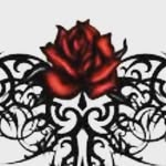 stacy - @stacy_buttercup - Instagram