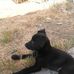 Stacy Carney - Facebook