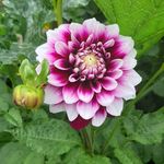 stacy cates-carney - @stacy.catescarney - Instagram