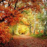 @stacycaudill2003 - Instagram