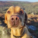 Stacey Chalmers - @staceykc112 - Instagram