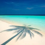 Stacey Chartier Faickney - @faickneystacey - Instagram