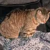 Stacy Christensen - @stacy.christensen - TikTok