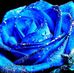 Stacy Connell - Facebook