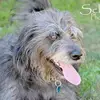 Stacy O'Connell - @stacyoconnell - TikTok