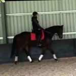 Stacey Coyle - @manzy14 - Instagram