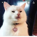 Stacy crowley - @stacycrowley0901 - Instagram