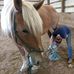Stacy Crowley - Facebook