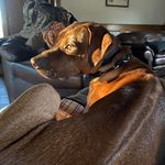 Stacy Deann Culver - @stacyculver1965 - Instagram