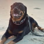 Stacy Reynolds Dailey - @sedailey1 - Instagram