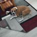 Stacy Daniels - Facebook