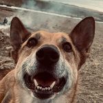 Stacy Davies - @daytona88 - Instagram
