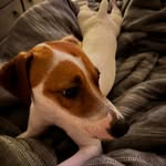 Stacey Dehart - @stacey.dehart.10 - Instagram