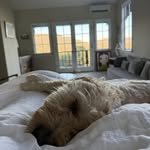 Stacy Morris DePue - @pointmallard - Instagram
