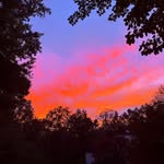 Stacy Craft Devine - @devinegram - Instagram