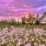 Stacy Devine Johnson - @_coffee_angel_68 - Instagram