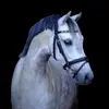 Stacy de vries - @stacy.de.vries - TikTok