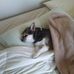 Stacy DeVries - Facebook