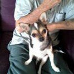 Stacy Devries - @scootdog123 - Instagram