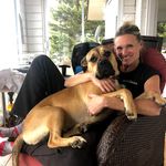 Stacy Dover Dog - @doverdogwalker - Instagram