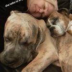 Stacey Draper - @draperstacey - Instagram