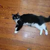 stacydrury513 - @freidadrury - TikTok