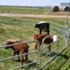 Stacy Eaton - @siscattle - TikTok