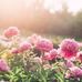 Staci R. Edinger - Facebook
