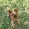 Stacy Eldridge - @stacy.eldridge2 - TikTok